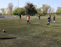 Stage de la catégorie U10/U11